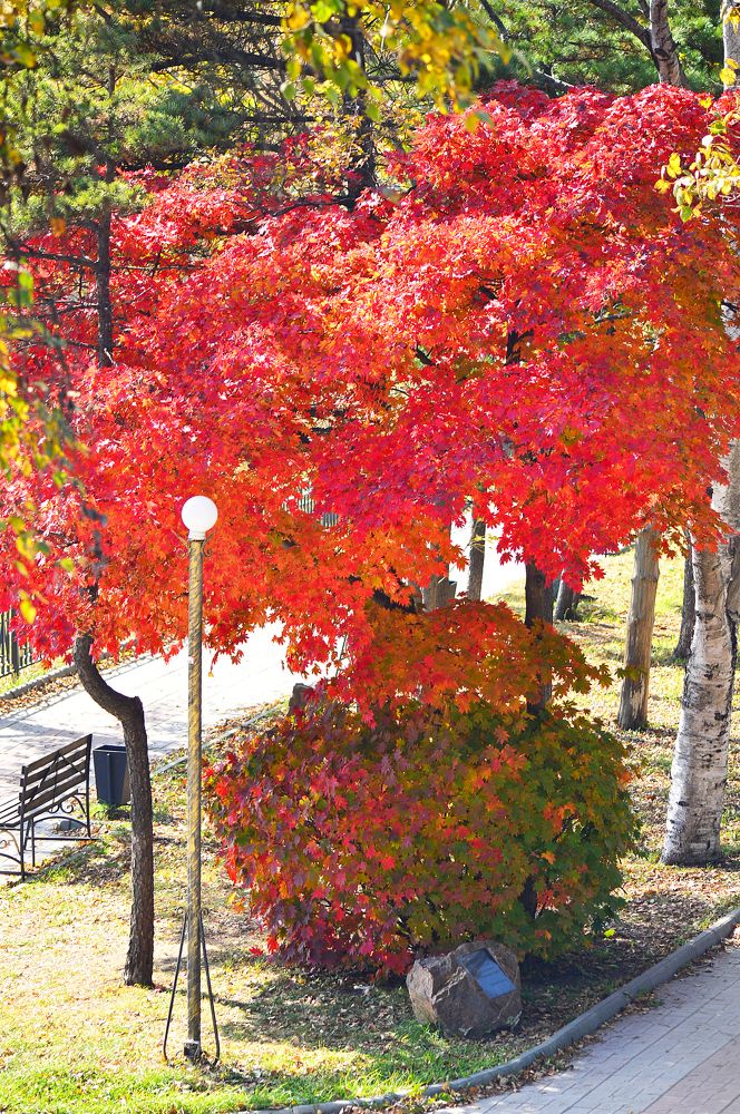 Photograph by Natalia Kopeva