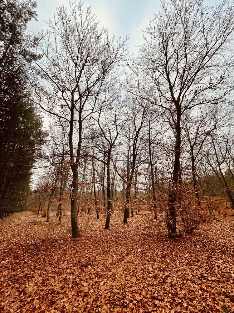 Фотография автора Camilly Kwaczynska