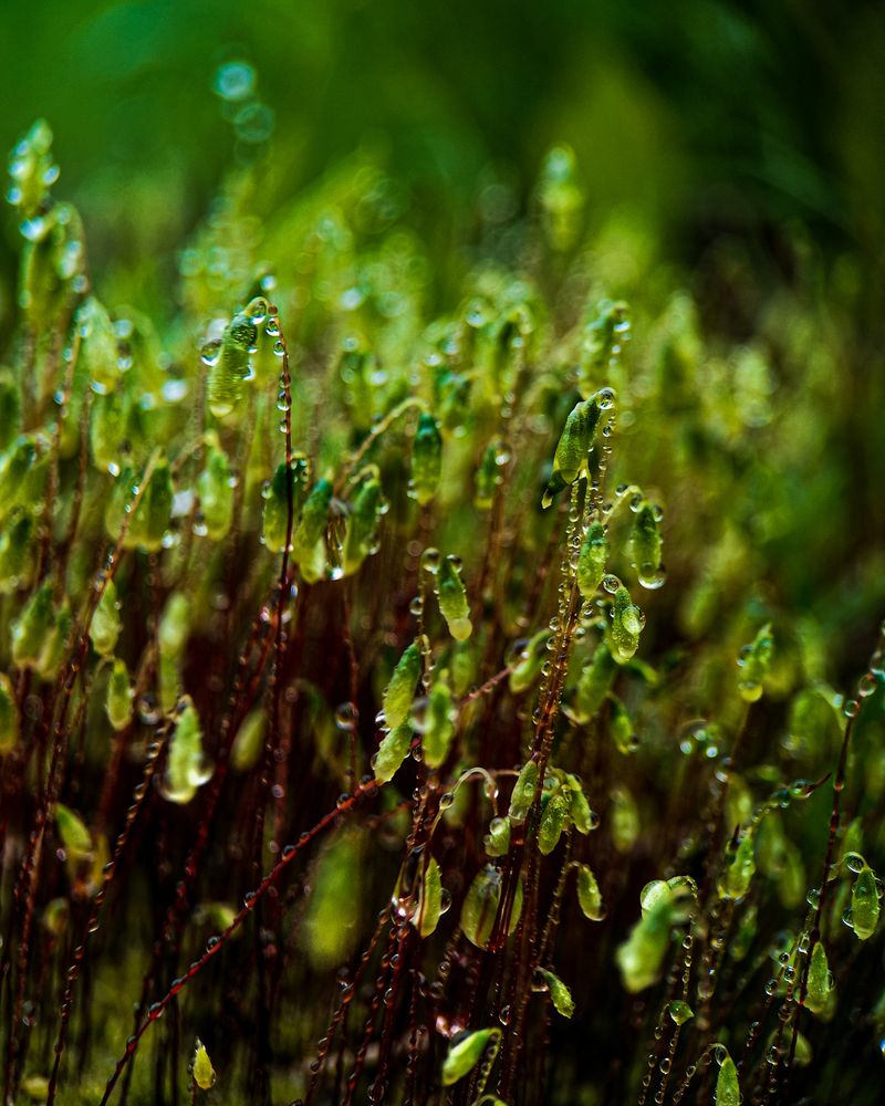 Photograph by Наталья Балабанова