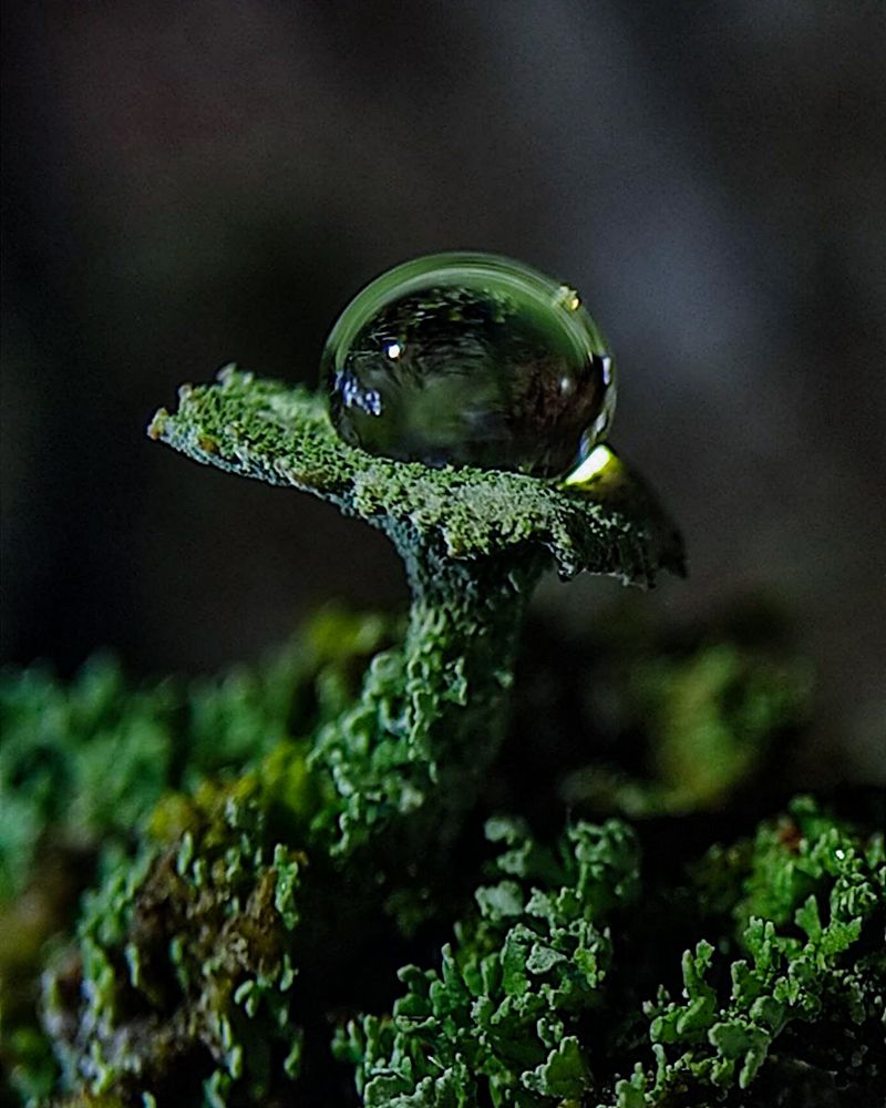 Photograph by Наталья Балабанова