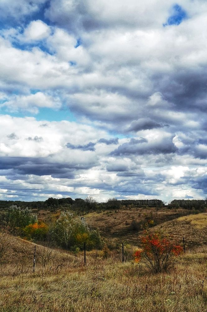 Photograph by Любовь Колмакова