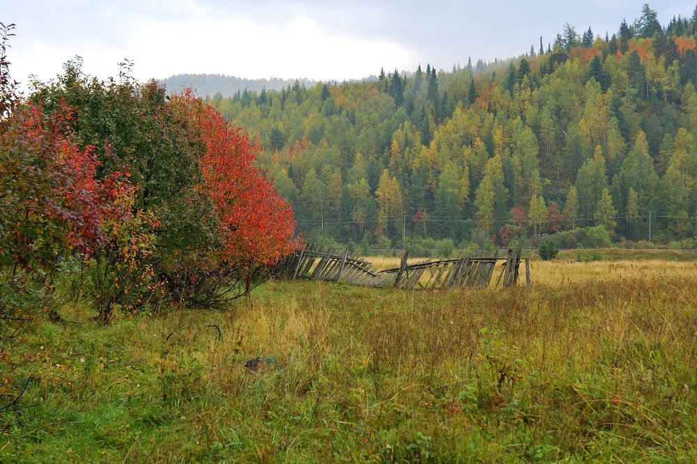 Осень в Сибири.