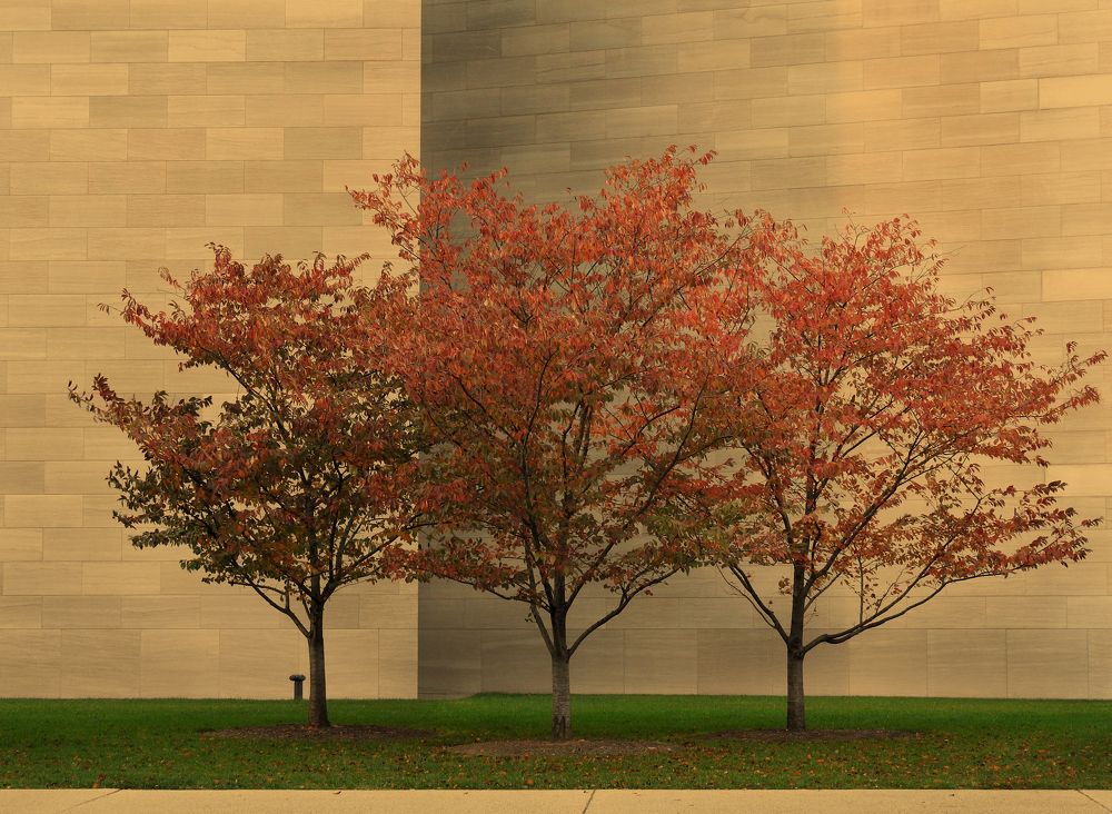 Photograph by Francisco Jose Garcia Nosei