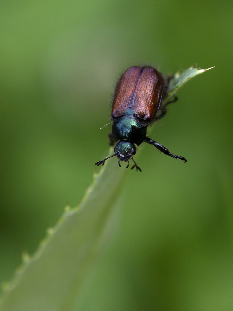 Photograph by Олег Тетерин