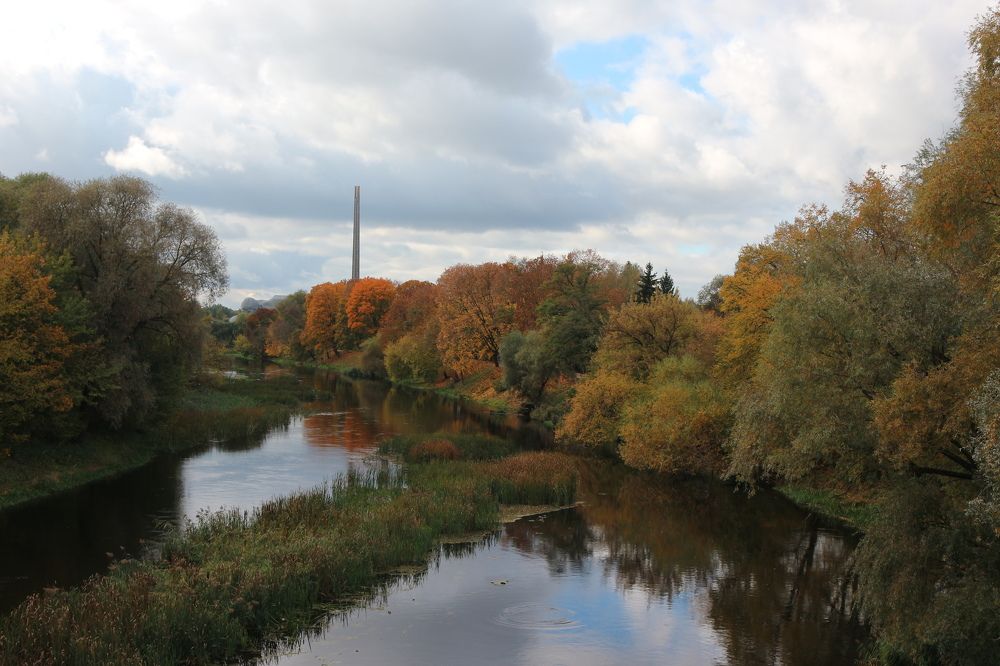 Фотография автора Ольга Панасюк