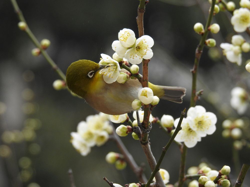 Photograph by Francisco Jose Garcia Nosei