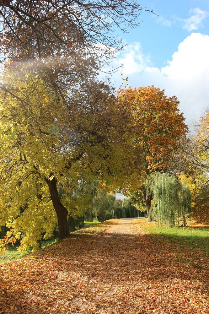 Фотография автора Ольга Панасюк