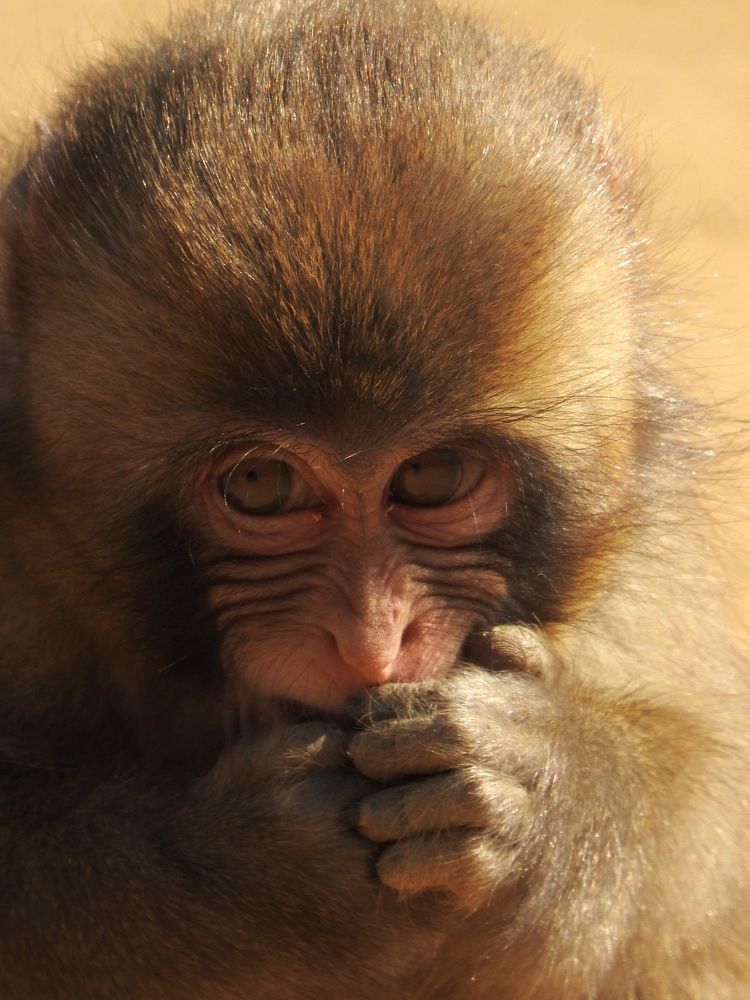 Photograph by Francisco Jose Garcia Nosei