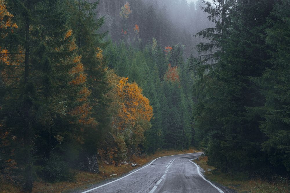 Photograph by Alex Christian