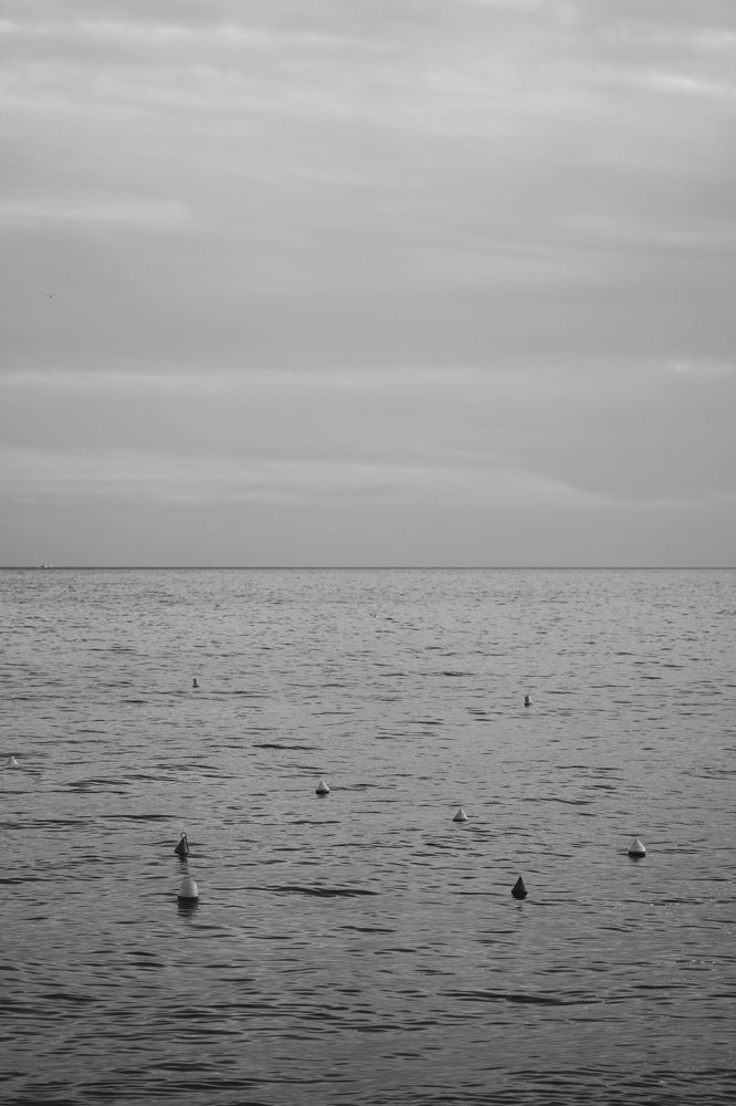 Photograph by Alex Christian
