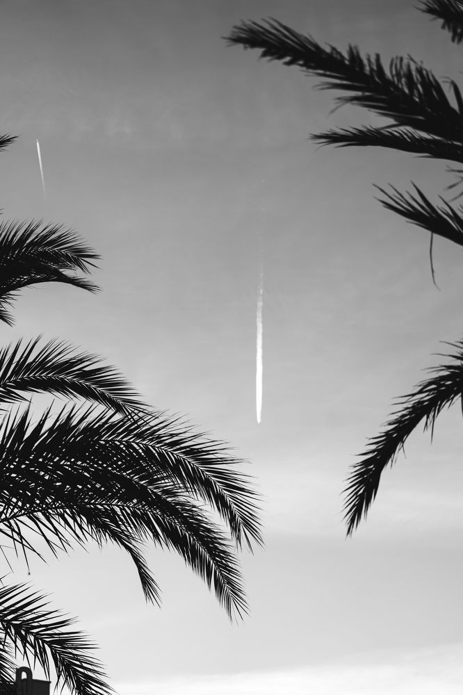 Photograph by Alex Christian