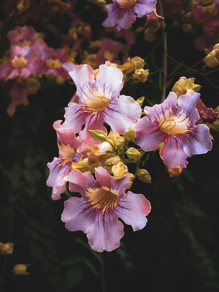 Photograph by Lucia Correia