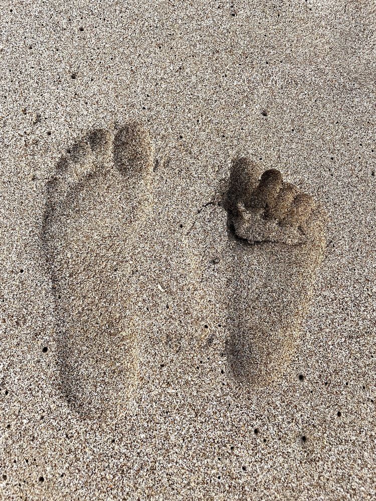 Photograph by Светлана Рашидова