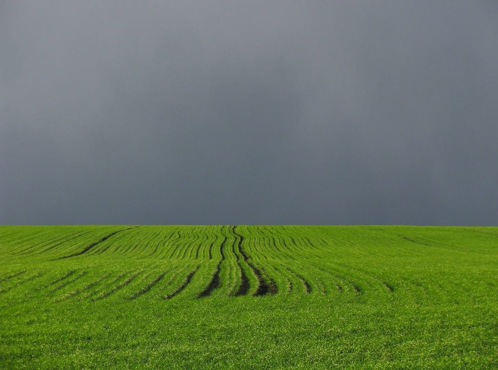 Photograph by Виктор Карпухин