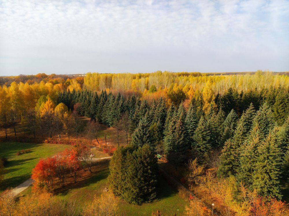 Фотография автора Александр Андреянов
