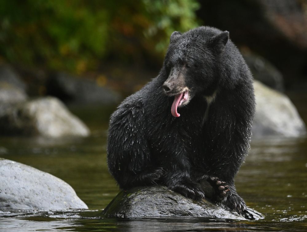 Photograph by Brittni Panter