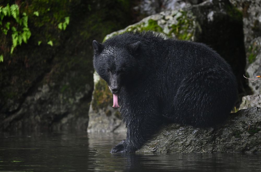 Photograph by Brittni Panter