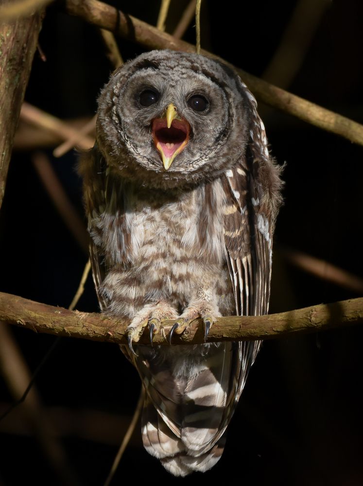 Photograph by Brittni Panter