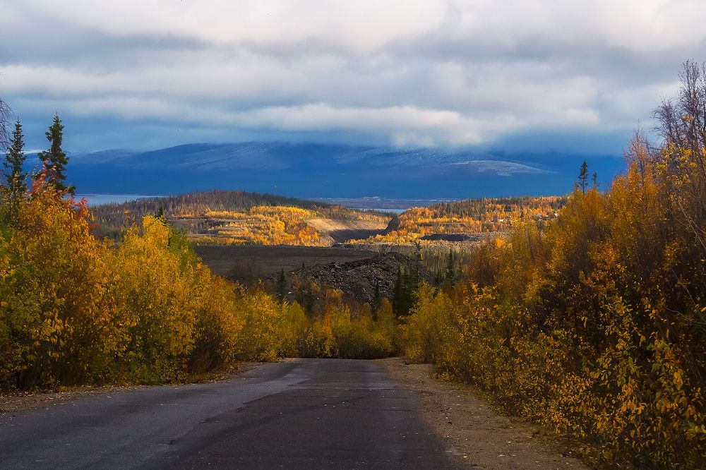 Дорога в никуда