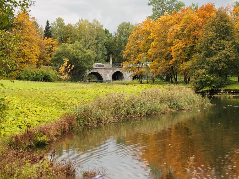 Photograph by Елена Шишкина