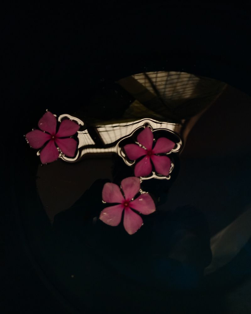 Photograph by Praveen