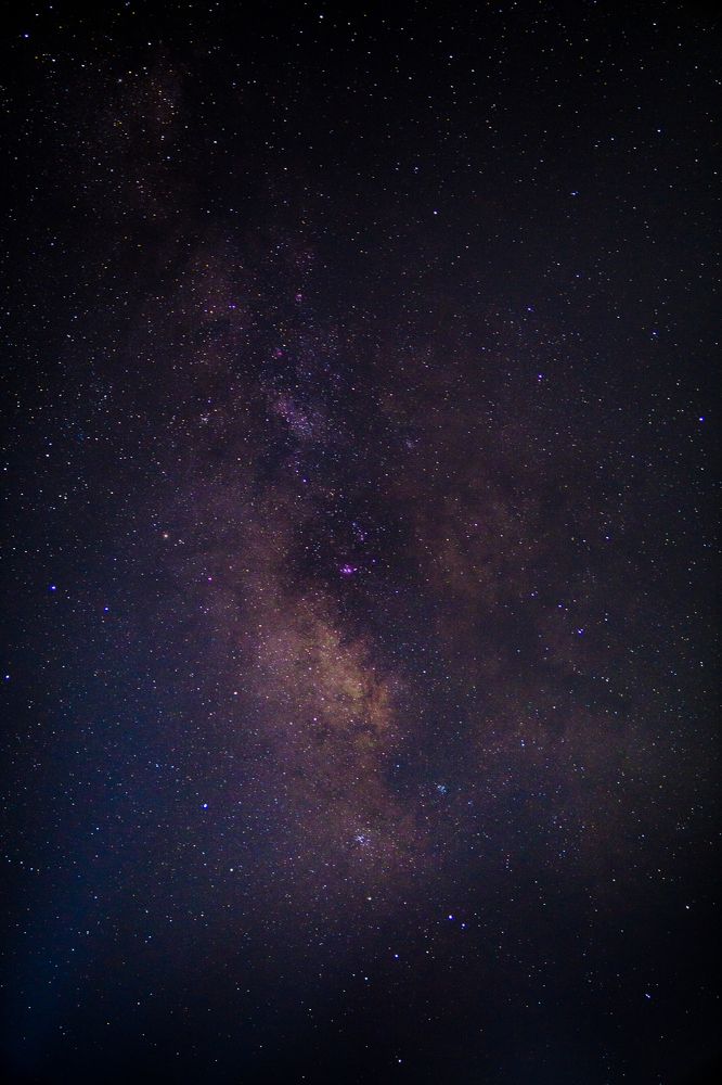Photograph by Aryan Naik
