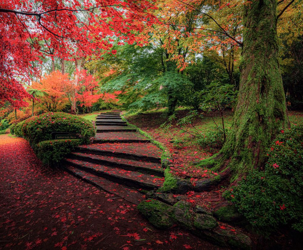 Photograph by Fascinating Imagery