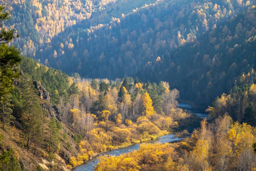 Утро выходного дня