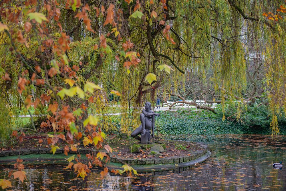 Photograph by Darina