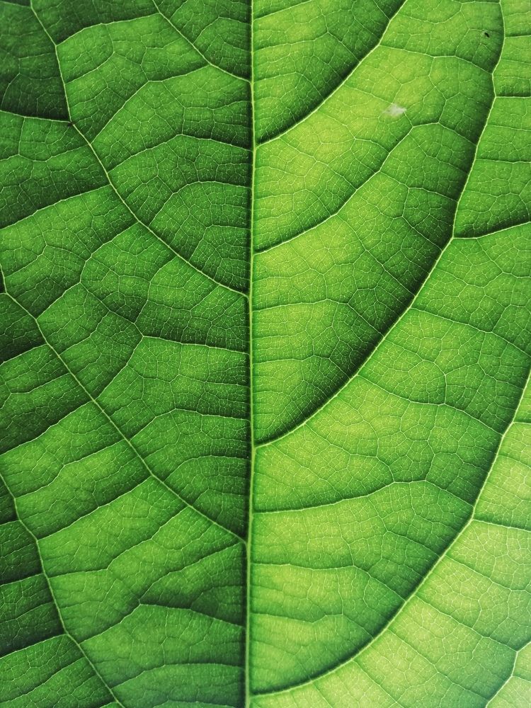 Photograph by Татьяна Смирнова