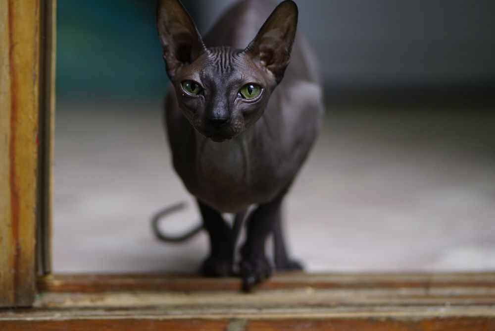 Photograph by Наталья Мэмэлигэ