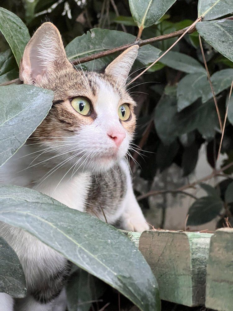 Photograph by Алексей Кикоть
