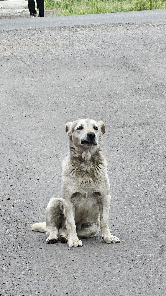 Photograph by Алексей Кикоть