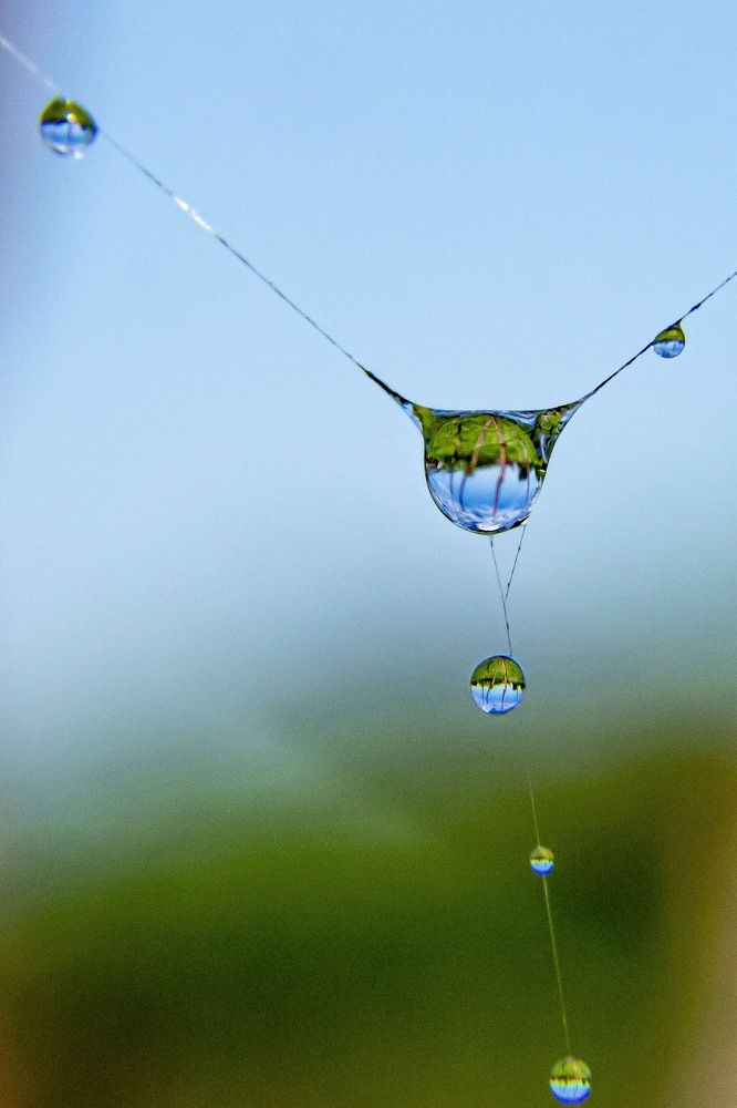 Photograph by Андрей