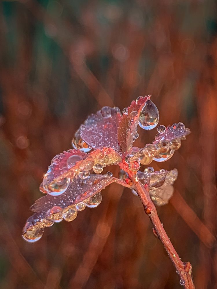 Photograph by Хавронина Марина