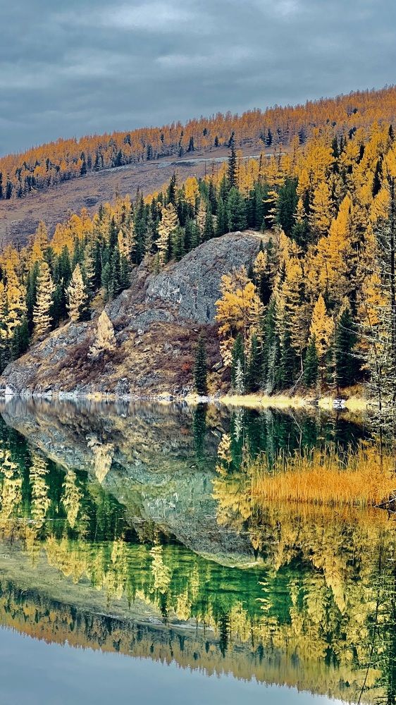 Photograph by Марина Куимова