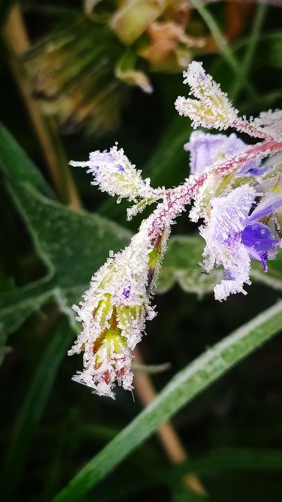 Photograph by Татьяна Лихачева