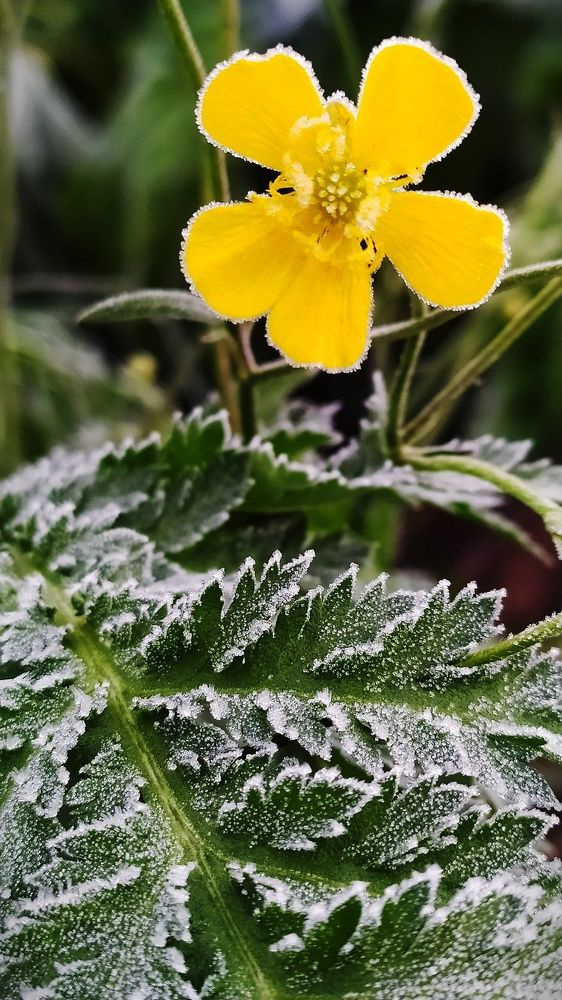 Photograph by Татьяна Лихачева