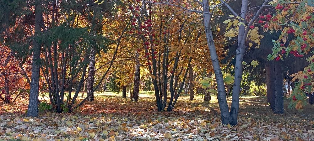 Photograph by Анастасия Кичигина