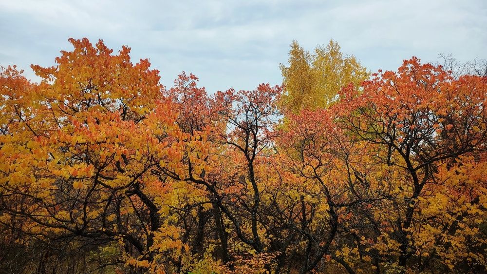 Photograph by Алина Эбель