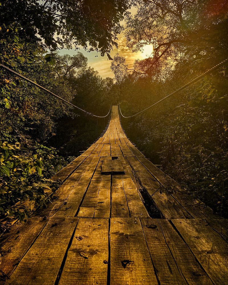 Фотография автора Елена Поживилко