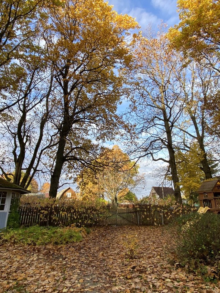 Photograph by Ольга Куколева