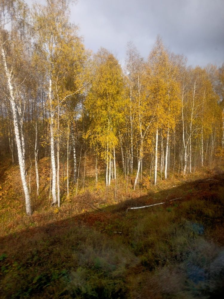 Photograph by Елизавета Мишина