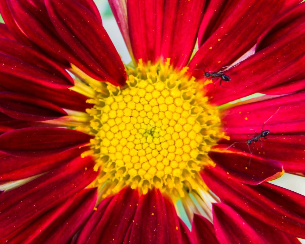 Photograph by Yash Singh