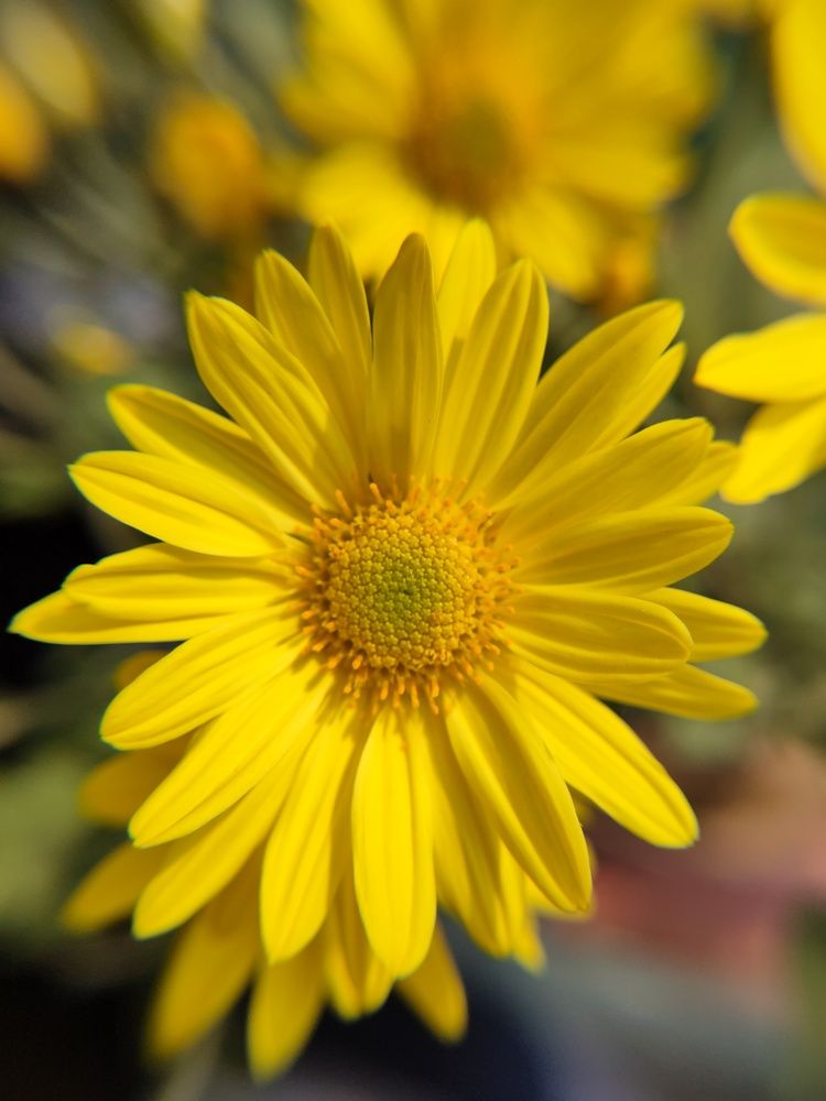 Photograph by Yash Singh