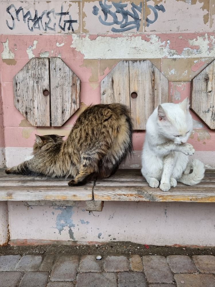 Photograph by Ангелина Шикина