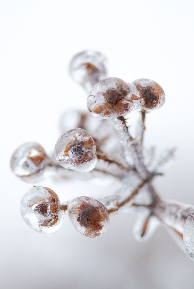 Photograph by andrei zorin