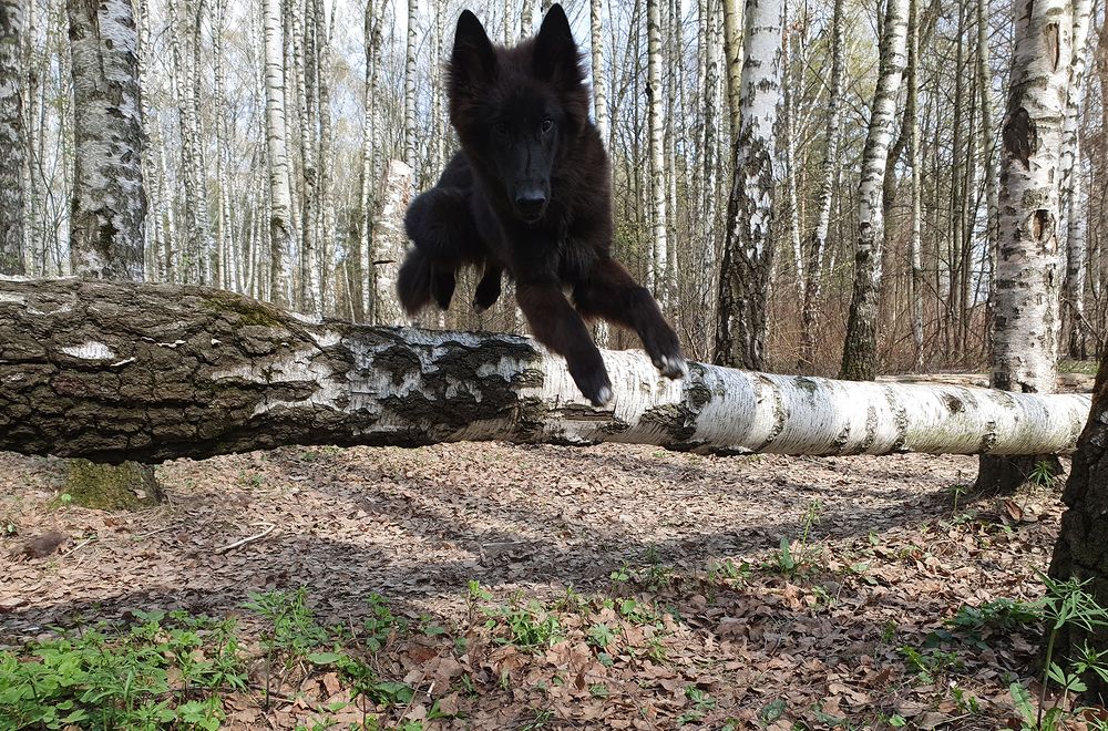 Фотография автора Надежда Лисицына