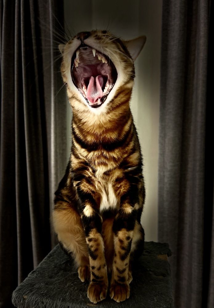 Photograph by Oleg Travin