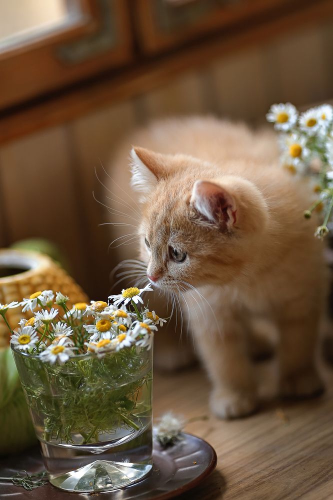 Запах детства!)